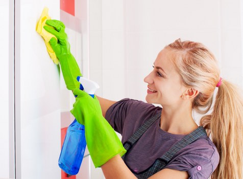 Carpet cleaning service terms and conditions introduction
