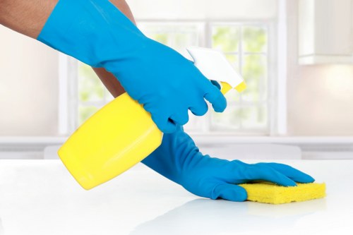 End of tenancy cleaning for a furnished flat in Balham