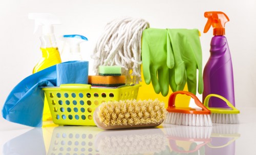 Recurring domestic cleaning in a Balham flat