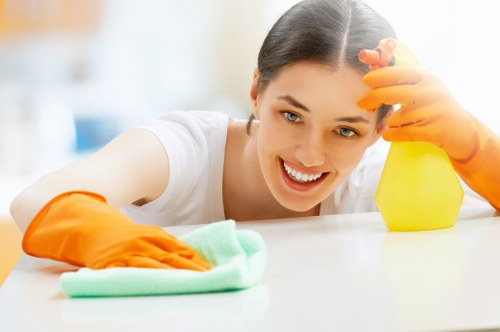 Detailed kitchen cleaning during a move out clean in Balham