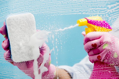 Professional steam carpet cleaning for a Balham home living room