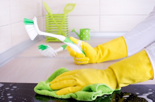 Thorough kitchen cleaning before moving into a flat in Balham