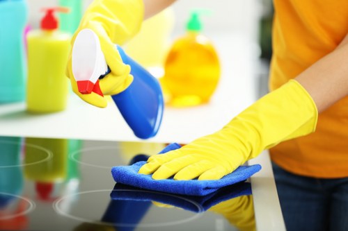 Careful upholstery cleaning process for a sofa in a flat