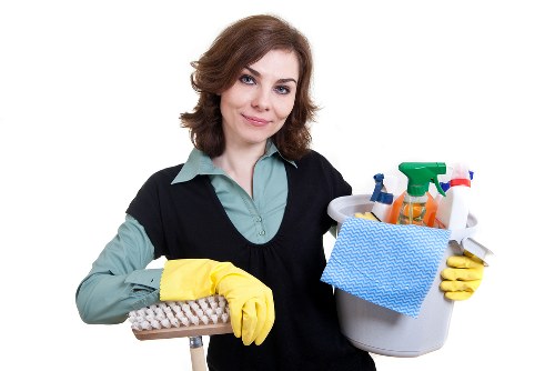 Supplier audit and due diligence process for cleaning services